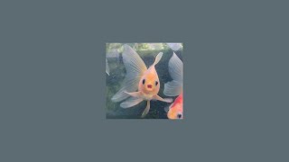 POV Youre a fish being caught by a trawl A playlist [upl. by Marcelle884]