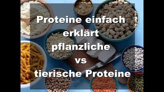 Tierische vs pflanzliche Proteine Proteine einfach erklärtpflanzliche Proteinquellen [upl. by Adnih]