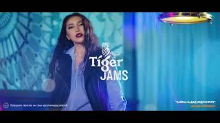 Maraljingoo  Хайраа надад мэдрүүлээч Uncage version Tiger Jams 2017 [upl. by Mccullough352]