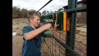 making a cow scratcher [upl. by Harrad]