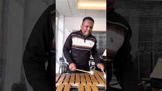 Playing Vibraphone for Everyones Enjoyment [upl. by Lanette]