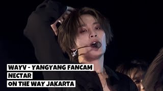 241005  4K  WAYV  NECTAR  YANGYANG FANCAM FOCUS  ON THE WAY TOUR IN JAKARTA [upl. by Hras]