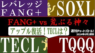 【林檎の神々】FANG vs レバレッジFANG SOXL TECL TQQQ！授かるのは恵みか神罰か！？【2024年6月2週目】 [upl. by Gib]