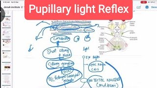 Pupillary light Reflex opthalmology 24  First Aid USMLE Step 1 in UrduHindi [upl. by Reham691]