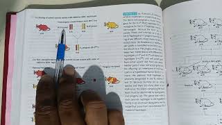 Chapter 7  Major Histocompatibility Complex MHC Kuby Immunology 6th Edition [upl. by Anu911]