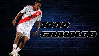 Joao grimaldo jugadasSkills●HD [upl. by Blackington]