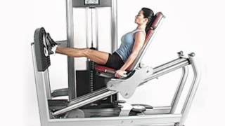 Signature Series Seated Leg Press [upl. by Esetal]