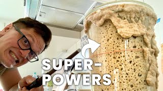 4 UNOBVIOUS SOURDOUGH STARTER TIPS That Will Make YOU WIN at Baking [upl. by Burley893]