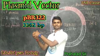 Plasmid vector BSc 3rd year Zoology paper II byPrahalad Sir [upl. by Pepe838]