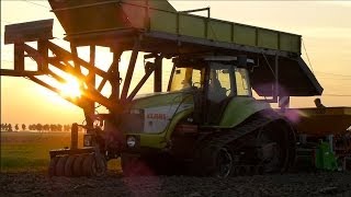 Claas Challenger 55 Planting Tulip bulbs  Dogterom tulpen planten 2013 [upl. by Yeknarf]