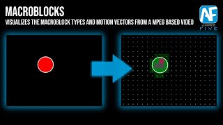 Macroblocks Verify the Encoded Data of a MPEG Video in Amped FIVE [upl. by Kellina]