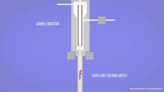 GC  Gas Chromatography  How Samples Move Through Capillary Column Animation HD [upl. by Ellehs]