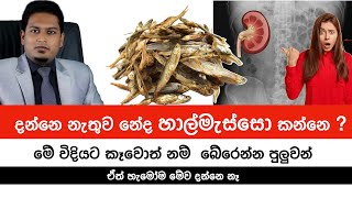 දන්නා හාල්මැස්සො වල නොදන්නා කතාව  Sprats amp Health By Nutritionist Hiroshan Jayaranga [upl. by Lehcar]