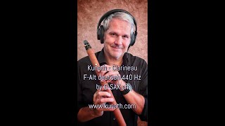 Kunath FChalumeau  FClarineau  Soulful playing by GSAX [upl. by Jennings117]