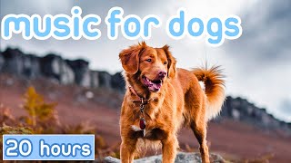 NO ADS Dog Music Hours of Separation Anxiety Music to Calm Dogs [upl. by Flowers]