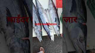 Bhayandar Wholesale Fish Market  seafoodmarket  ytshorts  shortvideo  Saanchi Shailesh [upl. by Annawak538]