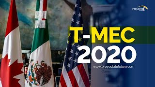 TMEC 2020  Oportunidades o no para México [upl. by Ahsets]