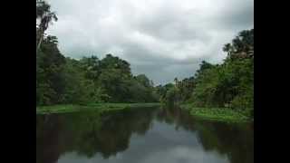 Rio Morichal Largo Estado Monagas Venezuela [upl. by Queena]