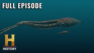 MonsterQuest GIANT SQUID DISCOVERED S1 E3  Full Episode [upl. by Vale]