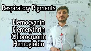 Respiratory Pigments  Haemoglobin  Hemocyanin  Hemerythrin  Chlorocruorin [upl. by Kara]