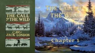 Call of the Wild Full Audiobook by Jack London [upl. by Werra630]