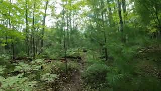 Beautiful Hike in Yawkey Forest Reserve explorethebeautyofnature [upl. by Sou]