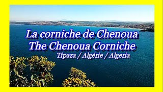 Corniche de Chenoua  Tipaza  Algérie FHD كورنيش شنوة  تيبازة  الجزائر [upl. by Llednol]