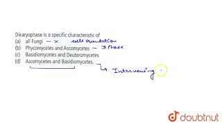 Dikaryophase is a specific characteristic of  11  BIOLOGICAL CLASSIFICATION  BIOLOGY  NCERT [upl. by Aronek]