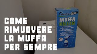 Come rimuovere la muffa per sempre da soffitti e pareti [upl. by Collyer]