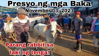 UPDATED  Presyo ng Baka sa Padre Garcia Batangas The Cattle Trading Capital of the Philippines [upl. by Wakerly662]