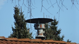 Elektror S3A Sirenenprobe in EichendorfLappersdorf [upl. by Elamor]