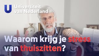 Waarom krijg je stress van thuiszitten  Erik Scherder [upl. by Miarfe]