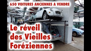 650 voitures à vendre  le réveil des Vieilles Foréziennes [upl. by Riha]