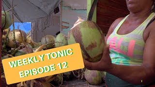 Caprylic Acid Benefits  LifeSeasons Weekly Tonic Video  Episode 12 [upl. by Krein]