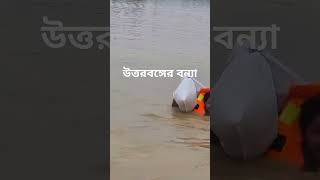 উত্তরবঙ্গের বন্যা ২০২৪ savebangladesh shortsviral subscribe shorts shortsviral [upl. by Eiramik661]