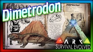 Dimetrodon Dossier ARK Survival Evolved Dossier 5 Dimetrodon Update amp Spotlight [upl. by Nerdna]