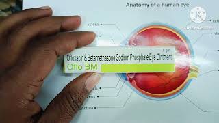 ofloxacin amp Betamethaso e sodium phosphate eye ointment Uses Hindi  oflo bm ointment [upl. by Dedrick]