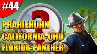 CaliforniaUhu  Präriehuhn  Florida Panther  RDR2 Zoologe  Unter die Haut  44 [upl. by Ennovart770]