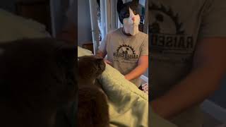 Guy Pranks His Cat by Wearing Cat Mask  1405168 [upl. by Woodberry368]