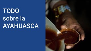 AYAHUASCA ¿Qué es la ayahuasca y que EFECTOS tiene la ayahuasca ¿Dónde pruebo la ayahuasca [upl. by Aicelet]