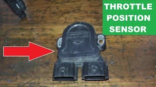 How To Replace and Adjust the Throttle Position Sensor [upl. by Foulk883]