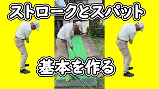 golfストロークとスパットで基本を作る [upl. by Ellenor]