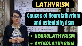 Lathyrism  Neurolathyrism  Osteolathyrism  Causes of Neurolathyrism and Osteolathyrism [upl. by Annohsat]