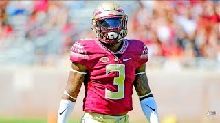 Hardest Hitting Safety in the ACC  Florida State Safety Derwin James Career Highlights ᴴᴰ [upl. by Aettam524]