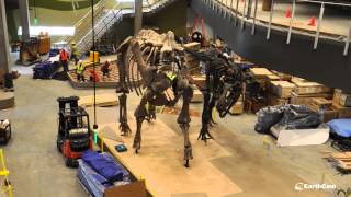 Official Perot Museum of Nature and Science Construction TimeLapse [upl. by Davis509]