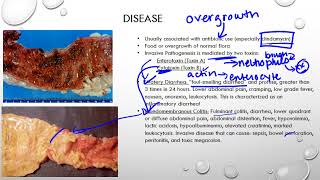 Clostridium Difficile [upl. by Bluhm963]