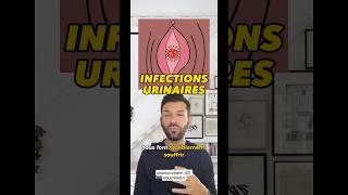 Infections urinaires  TOUT SAVOIR [upl. by Lusty438]