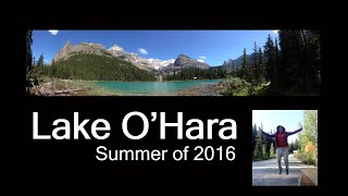 Lake OHara Summer of 2016 [upl. by Squier]