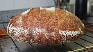 How to Make Sourdough Bread by Feel No Recipe [upl. by Albertina]