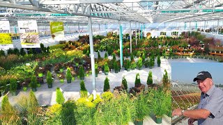 Behind Scenes View Of 30 Exceptional Plants To L👀k For At Partnering Garden Centers This Year 🌻🏠👏👍 [upl. by Kanor]